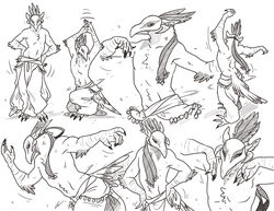  accipitriform anthro asian_mythology athletic athletic_anthro athletic_male avian avian_arms avian_feet bangs belly_dancer bird clothed clothing dancing digital_drawing_(artwork) digital_media_(artwork) digitigrade east_asian_mythology feet guild_wars harem japanese_mythology kiqoseven male mask monochrome multiple_poses mythology pose quiver_silvertongue scuted_arms scuted_feet scuted_hands scutes secretary_bird skimpy solo tengu topless yokai 