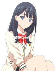  black_hair black_skirt blue_eyes bow bowtie cardigan female gridman_universe jpeg_artifacts long_hair long_sleeves looking_at_viewer pleated_skirt pre3445 red_bow red_bowtie school_uniform shirt simple_background sitting skirt solo source_request ssss.gridman takarada_rikka white_background white_cardigan white_shirt 