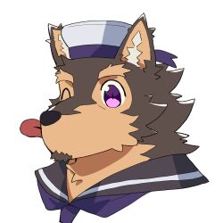  absurd_res anthro blep brown_body brown_fur canid canine canis chibi domestic_dog fur hi_res lifewonders live_a_hero male mammal one_eye_closed pubraseer purple_eyes sailor_hat singetu_sai0805 solo tongue tongue_out wink 