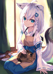  absurdres ahoge animal animal_ear_fluff animal_ears animal_on_lap blue_eyes blue_flower blue_hakama closed_mouth commentary_request cosplay curtains feline female flower fox_ears fox_girl fox_tail hair_between_eyes hair_flower hair_ornament hakama hakama_skirt highres hololive indoors japanese_clothes kimono long_hair long_sleeves masaki_(msk064) on_lap ribbon-trimmed_sleeves ribbon_trim senko_(sewayaki_kitsune_no_senko-san) sewayaki_kitsune_no_senko-san shirakami_fubuki skirt sleeves_past_wrists smile solo sunset tail virtual_youtuber white_hair white_kimono wide_sleeves window wooden_floor 