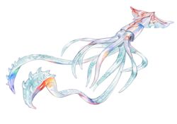  ambiguous_gender cephalopod coleoid decapodiform feral hi_res marine markings mollusk red_markings simple_background solo spikes spikes_(anatomy) tentacle white_background wolftapioca 