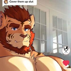  1boy afterclass_vn animal_ears bara beard blue_eyes brown_hair chris_(cjjchris) cover_them_up_slut_(meme) dialogue_box facial_hair furry furry_male heart large_pectorals lars_(afterclasd_vn) looking_at_viewer male_focus mature_male meme muscular muscular_male nude orange_fur pectoral_focus pectorals short_hair solo sunlight thick_eyebrows tiger_boy tiger_ears tiktok tusks upper_body user_interface 