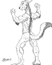  2019 anthro ass clenched_teeth fist flexing flexing_bicep fur half-closed_eyes head_turned hi_res looking_at_viewer looking_back male mammal marcushunter muscular muscular_anthro muscular_arms muscular_male narrowed_eyes nude radarr raised_tail rear_view signature smile smiling_at_viewer solo standing storm_hawks tail teeth tiptoes wet wet_body wet_fur 