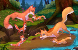  14:9 abby_(rukifox) akane_(rukifox) all_fours canid canine clay_(rukifox) dipstick_ears ear_markings eye_scar facial_scar family father_(lore) feral flint_(rukifox) fox fur grass group head_lick hi_res hiko_(rukifox) mammal mother_(lore) mother_and_father_(lore) multicolored_ears orange_body orange_fur outside parent_(lore) plant rick_(rukifox) river rukifox scar tree 