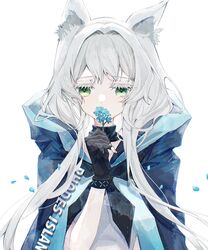  animal_ear_fluff animal_ears arknights black_gloves blue_flower cat_ears cat_girl choker cloak commentary covered_mouth female fingerless_gloves flower forget-me-not_(flower) gloves green_eyes grey_hair haku_ayako hand_up highres holding holding_flower hood hood_down hooded_cloak infection_monitor_(arknights) petals rosmontis_(arknights) smelling_flower solo tearing_up tears 