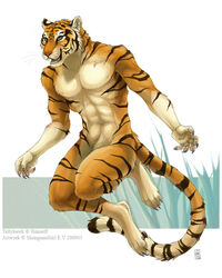  2009 4:5 abs anthro black_body black_claws black_fur black_stripes claws countershading digitigrade felid fur green_eyes looking_aside male mammal navel nipples nude open_mouth orange_body orange_fur pantherine paws pink_nose pink_paws pubes shinigamigirl smile solo striped_body striped_fur stripes tallyhawk_(tallyhawk) teeth tiger tongue whiskers white_body white_fur 