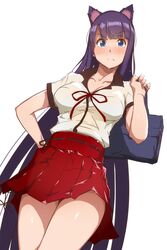  animal_ear_fluff animal_ears bag blue_eyes blunt_bangs blush breasts cleavage closed_mouth commentary_request cosplay dutch_angle fate/extra fate/extra_ccc fate/extra_ccc_fox_tail fate/grand_order fate_(series) female fox_ears hand_on_own_hip high-waist_skirt highres hip_focus large_breasts long_hair looking_at_viewer martha_(fate) purple_hair red_skirt school_bag shirt simple_background skirt solo suzuka_gozen_(fate) suzuka_gozen_(fate)_(cosplay) thighs tokiwa_midori_(kyokutou_funamushi) very_long_hair white_background white_shirt 