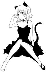  animal_ears cat_ears cat_girl choker commentary_request dress female greyscale high_contrast monochrome mozu_(peth) pantyhose sanya_v._litvyak shoes short_hair single_shoe smile solo strike_witches world_witches_series 