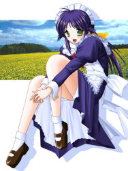  2000s_(style) andou_mahoro android ankle_socks antenna_hair apron archived_source ascot blue_dress blue_hair blue_sky blue_sleeves blush bobby_socks bow breasts brown_shoes buttoned_cuffs buttons cloud commentary_request dated_commentary day dress drop_shadow female field flower flower_field frilled_apron frills full_body green_eyes hair_tuft hairbow headdress invisible_chair juliet_sleeves keito_(keito-ya) lace-trimmed_petticoat legs loafers long_hair long_sleeves looking_at_viewer low-tied_long_hair low_ponytail mahoromatic maid maid_apron maid_headdress medium_breasts open_mouth petticoat photo_background polka_dot ponytail puffy_sleeves red_ascot retro_artstyle ribbon saturated shoes sidelocks sitting sky sleeve_cuffs socks solo sunflower sunflower_field tongue tree waist_ribbon white_apron white_background white_headdress white_ribbon yellow_bow 