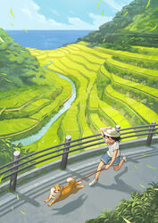  :3 :d absurdres black_hair blue_shorts blue_sky canine day female from_above guard_rail hand_on_headwear highres holding holding_leash horizon leash lolicon nishimawari_kouro ocean open_mouth original outdoors rice_paddy road running scenery shiba_inu shirt shoes short_sleeves shorts sky smile terrace white_footwear white_shirt 