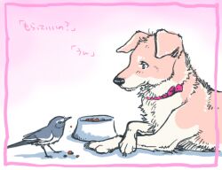  animal_focus bird bowl canine character_request collar commentary_request food no_humans pet_bowl pet_food photoshop_(medium) souko_souji studio_ghibli translated 