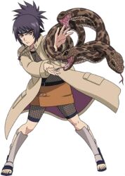  artist_request fishnets long_coat longcoat lowres mitarashi_anko naruto ninja purple_hair snake 