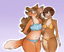  2017 anthro bikini bikini_bottom bikini_top blue_background blue_eyes breasts brown_body brown_fur brown_hair buckteeth canid canine caviid clothing danadelions duo eyewear female flat_chested fox fur glasses guinea_pig hair mammal navel open_mouth rodent side-tie_bikini side-tie_clothing side-tie_swimwear simple_background smile string_bikini swimwear teeth triangle_bikini whiskers 