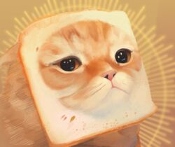  ambiguous_feral ambiguous_gender bread cat_breading domestic_cat felid feline felis feral food icon in_bread junkochi mammal meme orange_background orange_body orange_eyes semi_realism simple_background solo 