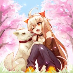  ahoge animal bare_shoulders black_pants blue_sky bow brown_bow brown_eyes brown_hair brown_shirt canine cherry_blossoms commentary_request day female flower grass hair_between_eyes hairbow highres long_hair off-shoulder_shirt off_shoulder one_eye_closed open_mouth orange_footwear outdoors pants pink_flower shadow_alice_(wonderland_wars) shirt shoes sitting sky solo sue_(bg-bros) tongue tongue_out tree very_long_hair wonderland_wars 