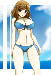  absurdres bikini black_eyes blue_bikini breasts brown_hair female highres large_breasts long_hair original solo swimsuit wakame 