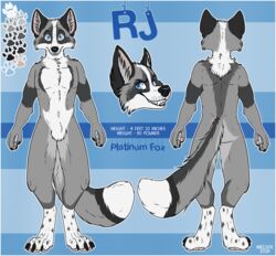  canid canine color_swatch digital_media_(artwork) english_text fox full-length_portrait hi_res male mammal meoxie model_sheet outline portrait rj_kincade solo text 