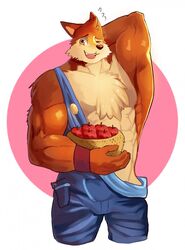  abs anthro apple biceps canid canine canis clothing food fruit fur hi_res male mammal muscular muscular_anthro muscular_arms muscular_male overalls plant simple_background solo soonico wolf wuffle wuffle_(webcomic) 