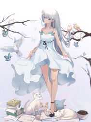  absurdres bird blunt_bangs book book_stack branch bug butterfly dress dress_flower emilia_(re:zero) feline female flower grey_hair hair_flower hair_ornament highres long_hair purple_eyes re:zero_kara_hajimeru_isekai_seikatsu ribbon rose smile solo sooner white_dress white_flower white_lily white_rose x_hair_ornament yarn yarn_ball 