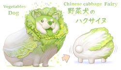  :p animal animal-themed_food arrow_(symbol) cabbage canine commentary creature english_text food good_ass_day green_theme highres multiple_views napa_cabbage no_humans original oyasai_yousei_to_manabu_yasai_no_chishiki_zukan ponkichi_(ponkichim) simple_background tail tail_wagging tongue tongue_out translated vegetable white_background 