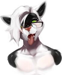  2015 anthro bust_portrait eyewear felid femboy fur glasses green_eyes hair hi_res looking_at_viewer lost-paw male mammal portrait proby solo tongue tongue_out white_hair 