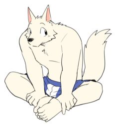  2018 anthro barefoot biped canid canine canis clothed clothing digital_media_(artwork) domestic_dog feet feet_together fur male mammal manmosu_marimo muscular muscular_anthro muscular_male simple_background sitting solo topless white_background white_body white_canine_(marimo) white_fur 