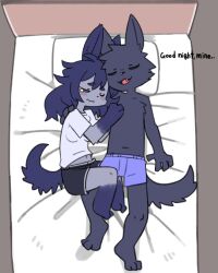  2024 4:5 absurd_res anthro bed bedding biped bird's-eye_view blue_body blue_fur bottomwear boxers_(clothing) canid canine canis cheek_tuft clothed clothed_anthro clothed_female clothed_male clothing digital_drawing_(artwork) digital_media_(artwork) dog_tail duo facial_tuft female fully_clothed fully_clothed_anthro fully_clothed_female fur fur_tuft furniture gloves_(marking) grey_body grey_fur grey_hair hair head_tuft hi_res high-angle_view hug hugging_another leg_markings light_blush lying lying_on_bed male mammal markings mini_(puppy_in_space) nifram_logan on_bed pillow pizademokttero plantigrade shirt shorts sleeping sleeping_together slim slim_anthro slim_female slim_male socks_(marking) topless topless_anthro topless_male topwear tuft underwear wolf 