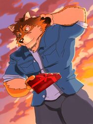  3:4 anthro barrel_(live_a_hero) blush canid canine canis countershading embarrassed giftbox hand_behind_head holidays lifewonders live_a_hero male mammal pawpads solo sunset toratruck9 valentine&#039;s_day wolf 