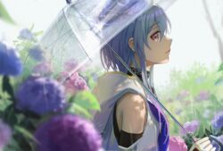  1boy absurdres arknights backlighting bare_shoulders beret black_shirt blue_hair blue_hat blue_neckerchief cloak clothing_cutout collar commentary dappled_sunlight day flower from_side gloves gradient_hair hat highres holding holding_umbrella hood hood_down hooded_cloak hydrangea infection_monitor_(arknights) looking_at_viewer looking_to_the_side male_focus mizuki_(arknights) multicolored_hair neckerchief otoko_no_ko outdoors parted_lips pink_eyes profile purple_neckerchief red_eyes shirt short_hair_with_long_locks shoulder_cutout sidelocks sideways_glance solo sunlight tadano_tarako transparent transparent_umbrella umbrella upper_body white_cloak white_gloves 