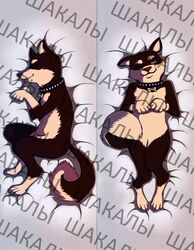  akinya anthro body_pillow_design canid canine canis dakimakura dakimakura_design dakimakura_pose domestic_dog front_view hi_res male mammal shiba_inu side_view solo spitz 