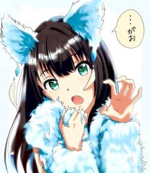  animal_ears bad_id bad_pixiv_id blue_sleeves brown_hair commentary_request detached_sleeves fangs female green_eyes head_tilt idolmaster idolmaster_cinderella_girls long_hair long_sleeves looking_at_viewer open_mouth paw_pose portrait shibuya_rin shiki_(0802makimari) solo speech_bubble wolf_ears 