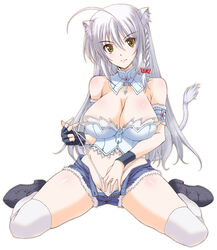  ahoge animal_ears blue_shorts braid breasts bustier cat_ears cat_girl cat_tail cleavage commentary_request cutoffs dog_days female fingerless_gloves gloves highres large_breasts leonmitchelli_galette_des_rois long_hair open_fly panties panty_pull photoshop_(medium) short_shorts shorts side_braid silver_hair simple_background single_braid single_fingerless_glove single_glove sitting skindentation solo tail thighhighs underwear wariza white_background white_thighhighs yatsushima_tetsuya yellow_eyes 