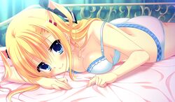  bed_sheet blonde_hair blue_bra blue_eyes blue_panties bra breasts da_capo da_capo_iii da_capo_iii_platinum_partner female game_cg hair_ornament hair_ribbon hairclip long_hair looking_at_viewer lying medium_breasts morizono_rikka on_stomach panties ribbon smile tanihara_natsuki twintails two_side_up underwear underwear_only 