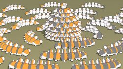 16:9 ambiguous_gender calico_cat ceremony circle clone cult domestic_cat felid feline felis feral group hi_res madara_(natsume_yuujinchou) mammal natsume&#039;s_book_of_friends peezi what widescreen worship