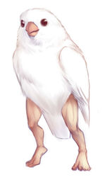 ambiguous_gender anthro avian beak bird cursed_image era_(artist) feathered_wings feathers feet full-length_portrait fur human humanoid_feet hybrid mammal nightmare_fuel plantigrade portrait simple_background solo standing what what_has_science_done white_background white_body white_feathers white_wings why wings