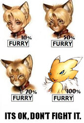 animal_humanoid anthro bandai_namco bell bell_collar black_sclera blonde_hair blue_eyes brown_body brown_fur canid canine cat_humanoid chart chest_tuft collar collar_ring collar_tag dangerously_furry_(meme) digimon digimon_(species) domestic_cat english_text facial_markings felid felid_humanoid feline feline_humanoid felis female fur hair head_markings humanoid informative karabiner low_res mammal mammal_humanoid markings meme multiple_images po-ju red_collar renamon simple_background solo text third-party_edit tuft white_background white_body white_fur yellow_body yellow_fur