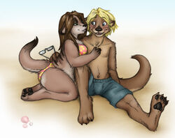 anakuro anthro beach bikini blonde_hair blue_eyes blush breasts clothed clothing digital_media_(artwork) duo eye_contact eyewear female glasses hair herpestid hindpaw looking_at_another male male/female mammal meerkat mustelid otter outside paws romantic romantic_couple sand seashell seaside shell skimpy slightly_chubby swimwear tail thick_thighs