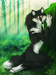 3:4 ambiguous_gender anthro biped black_body black_fur black_lips black_nose canid canine canis carowyn claws detailed detailed_background digital_media_(artwork) digitigrade eyelashes fluffy fluffy_tail forest full-length_portrait fur gloves_(marking) hair handpaw hindpaw humanoid_hands inner_ear_fluff kneeling leaning leg_markings light lips long_mouth looking_at_viewer mammal mane mane_hair markings nature no_sclera nude outside pawpads paws plant portrait red_eyes shy snout socks_(marking) solo sullivan sunlight tail tree tuft white_body white_claws white_fur wolf wood