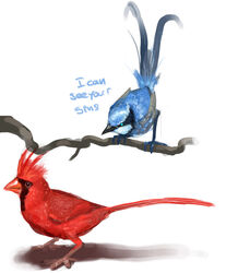 2008 ambiguous_gender avian beak biped bird blue_body blue_feathers cardinal_(bird) dialogue duo english_text feathers feral humor hyenahyena male northern_cardinal oscine passerine red_body red_feathers simple_background text white_background