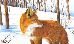 2005 ambiguous_gender branch canid canine detailed_background eosfoxx feral fox mammal outside photorealism plant realistic_anatomy realistic_lighting realistic_shading red_fox sky snow solo tail traditional_media_(artwork) tree true_fox winter