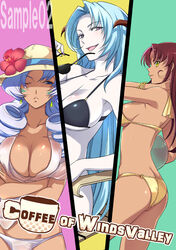  3girls ass bikini blue_hair breasts butt_crack cleavage commentary_request ffc fresh_precure! futari_wa_precure_splash_star heartcatch_precure! kita_nayuta large_breasts ms._shitataare multiple_girls northa_(fresh_precure!) photoshop_(medium) precure sasorina swimsuit 