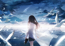  absurdres ahoge bird black_shorts brown_hair cloud commentary_request facing_away female floating_cape highres holding holding_shoes hood hooded_jacket horizon jacket lens_flare long_hair medium_hair meteor ocean original scenery seagull see-through sena_tea29 shoes shorts signature sky sleeves_rolled_up solo standing star_(sky) white_bird white_jacket 