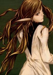  abe_yoshitoshi brown_hair highres long_hair pointy_ears ryuu_tai scan yoshitoshi_abe 