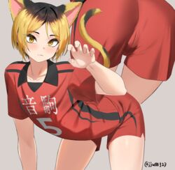  1boy animal_ears ass black_hair blonde_hair cat_boy cat_ears cat_tail clothes_writing g1_(jjw00123) haikyuu!! kozume_kenma male_focus multicolored_hair red_shirt red_shorts shirt short_sleeves shorts sportswear tail twitter_username volleyball_uniform 