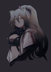  animal_ear_fluff animal_ears arknights black_scarf breasts brh cat_ears chinese_commentary cleavage commentary_request crop_top cropped_torso female grey_background grey_hair hair_between_eyes jacket long_hair looking_at_viewer medium_breasts midriff navel open_clothes open_jacket scarf schwarz_(arknights) simple_background solo stomach upper_body white_jacket yellow_eyes 