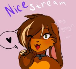  ambiguous_gender anthro collar dizzyt domestic_rabbit heart_symbol holland_lop lagomorph leporid lop_rabbit mammal namu oryctolagus rabbit smile solo 