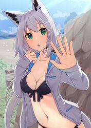  :o animal_ear_fluff animal_ears bikini black_bikini blush braid breasts cleavage collarbone commentary_request earrings female fox_ears fox_girl fox_tail green_eyes hair_between_eyes highres hololive jacket jewelry long_hair looking_at_viewer medium_breasts navel nemurimangetsu open_clothes open_hand open_jacket open_mouth outdoors rock shirakami_fubuki sidelocks single_braid solo swimsuit tail virtual_youtuber white_hair white_jacket 