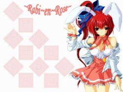  bunnygirl comic_party cosplay di_gi_charat magic_private_eye rabi_en_rose takase_mizuki 