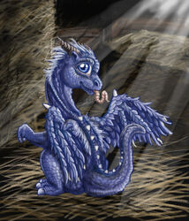  ambiguous_gender baby blue_body blue_eyes blue_feathers blue_scales blue_wings dragon european_mythology feathered_dragon feathered_scalie feathered_wings feathers feral hybrid_wings inheritance_cycle membrane_(anatomy) membranous_wings mythological_creature mythological_scalie mythology ruth-tay saphira scales scalie solo tail western_dragon wings young young_feral 