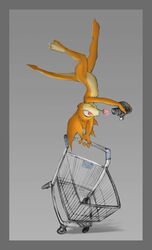  acrobatics anthro anthrofied bandai_namco border camera cart darkdoomer digimon digimon_(species) digimorph flower grey_border hi_res male mokvwap patachu patamon plant rose_(flower) solo tail toony young 